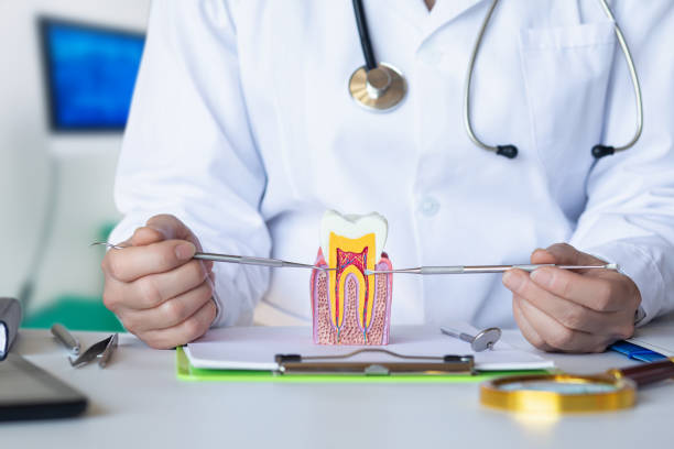 Best Emergency Treatment for Oral Infections in Granite Quarry, NC